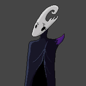 Hollow knight custom